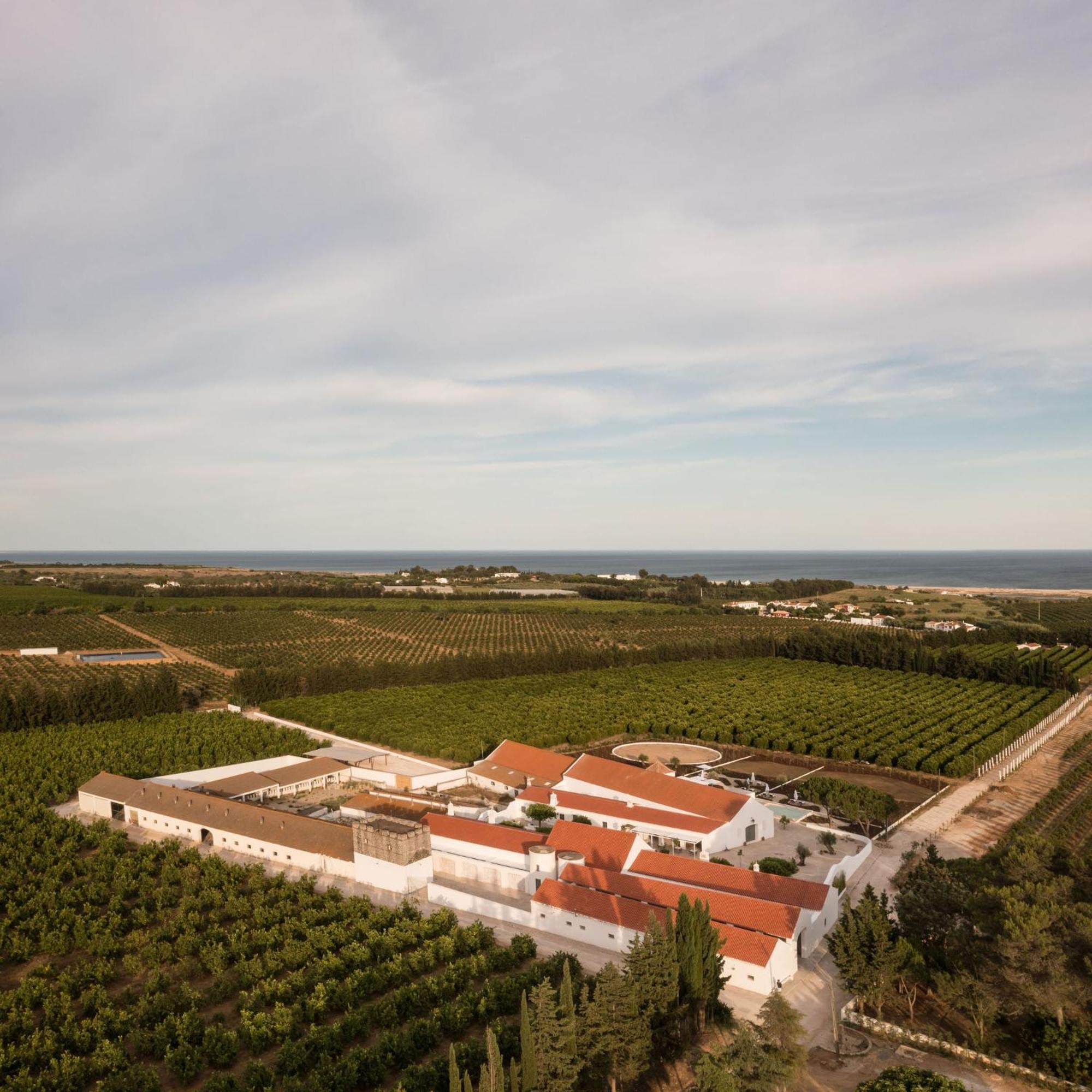 Casas Da Quinta De Cima Villa Vila Nova de Cacela Ngoại thất bức ảnh